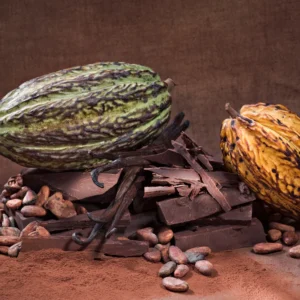 UNIQUE SINGLE ORIGIN CHOCOLATES