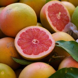orange, mandarin, citrus, grapefruit, fruit, nutrition, vitamin, food, fresh, organic, healthy, market, agriculture, orange, orange, orange, orange, orange, grapefruit, grapefruit, grapefruit, fruit, fruit, fruit