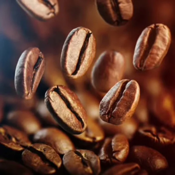 PC-508P - Caffe Premium - 3Kg